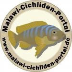 Malawi-Cichliden-Portal