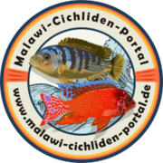 (c) Malawi-cichliden-portal.de